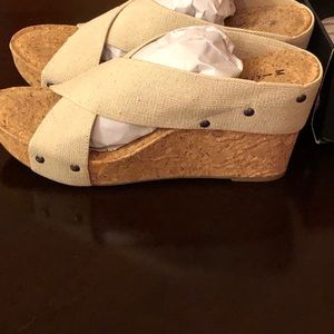 Michael Shannon size 11